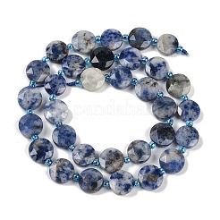 Natural Blue Spot Jasper Beads Strands&nbsp;G-C116-A79-01