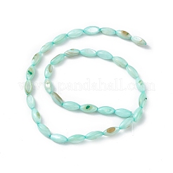 Natural Freshwater Shell Dyed Beads Strands&nbsp;SHEL-M018-13-02