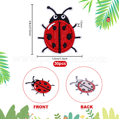 Ladybug Computerized Embroidery Polyester Iron on/Sew on Patches&nbsp;LS-PATC-WH0003-55
