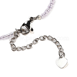 Natural Amethyst Pendant Necklaces&nbsp;NJEW-G143-02L