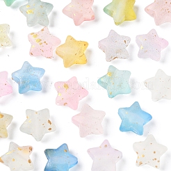 300Pcs 10 Colors Frosted Acrylic Charms&nbsp;OACR-FS0004-09
