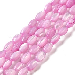 天然ニシキウズガイシェルビーズ連売り  染め  ライス  ミックスカラー  5x3~3.5mm  穴：0.7mm  約81~82個/連  15.39''~15.51''（39.1~39.4センチメートル）&nbsp;SHEL-K006-19