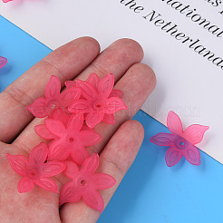 Transparent Acrylic Beads&nbsp;X-MACR-S373-127-D