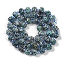 Natural Sesame Jasper Dyed Beads Strands&nbsp;G-H057-A21-01
