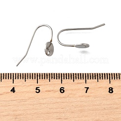 304 Stainless Steel Earring Hooks&nbsp;STAS-B087-09A-P