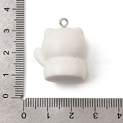 不透明樹脂ペンダント  招き猫のお守り  プラチナアイアンループ付き  ミックスカラー  26~26.5x22.5~23x18~19mm  穴：2mm&nbsp;RESI-P051-03P-M