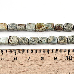 Natural Variscite Beads Strands&nbsp;G-N346-04A-11