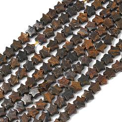 Natural Bronzite Beads Strands&nbsp;G-G085-B60-02