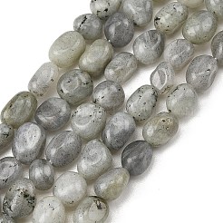 Natural Labradorite Beads Strands&nbsp;G-P623-A03-01