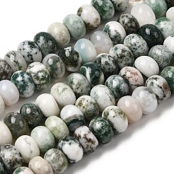 Natural Tree Agate Beads Strands&nbsp;G-A280-A04-02
