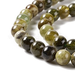 Natural Garnet Beads Strand&nbsp;G-E584-02B
