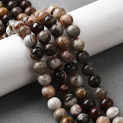 Natural Mexico Crazy Agate Beads Strands&nbsp;X-G-L615-A01-02