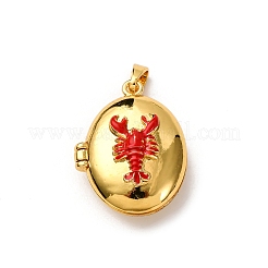 Brass Enamel Locket Pendants&nbsp;LS-KK-K305-05G