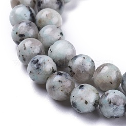 Natural Sesame Jasper/Kiwi Jasper Beads Strands&nbsp;G-K410-05-8mm