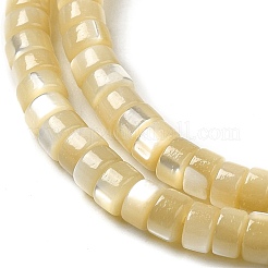 Natural Trochus Shell Beads Strands&nbsp;SHEL-K006-26
