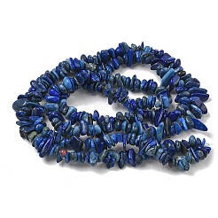 Natural Lapis Lazuli Chip Beads Strands&nbsp;G-E271-121