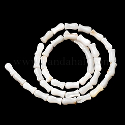 天然淡水シェルビーズ連売り  花瓶  貝殻色  9.5~10x4.5~5mm  穴：0.5mm  約41個/連  15.24''~15.47''（38.7~39.3センチメートル）&nbsp;SHEL-K006-08