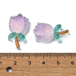 Transparent Epoxy Resin Decoden Cabochons&nbsp;CRES-I030-19A