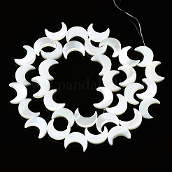 Natural Trochid Shell/Trochus Shell Beads Strands&nbsp;SSHEL-N032-25