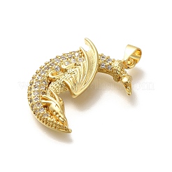 Rack Plating Brass with Cubic Zirconia Pendants&nbsp;KK-Z086-13G-02