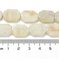 Natural Rainbow Moonstone Beads Strands&nbsp;G-P544-B05-01