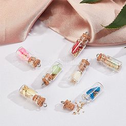 Glass Wishing Bottle Pendant Decorations&nbsp;GLAA-SC0001-12