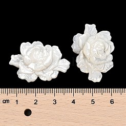 天然ホワイトシェル彫刻カボション  花のチャーム  22x32.5x4mm&nbsp;SSHEL-I026-15