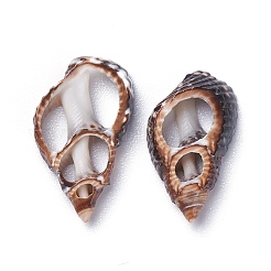 天然スパイラルシェルビーズ  穴なし/ドリルなし  シエナ  14~22x8.5~12x3~4mm&nbsp;BSHE-I016-05