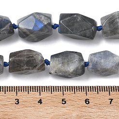 天然石ラブラドライトビーズ連売り  多面カット  長方形  13~16.5x12~14.5x8.5~14.5mm  穴：1mm  約22~24個/連  15.83''~16.14''（40.2~41センチメートル）&nbsp;G-C270-F01