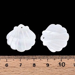 天然貝の彫刻ペンダント  貝殻の形のチャーム  貝殻色  21~21.5x21.5~22x3~3.5mm  穴：1.2mm&nbsp;SSHEL-T017-33