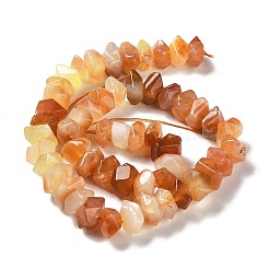 Natural Orange Botswana Agate Beads Strands&nbsp;G-D091-A23