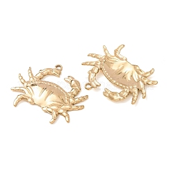 304 Stainless Steel Pendants&nbsp;SA-D002-01G
