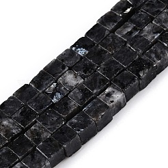 Natural Larvikite Beads Strands&nbsp;G-T139-6x6-25A