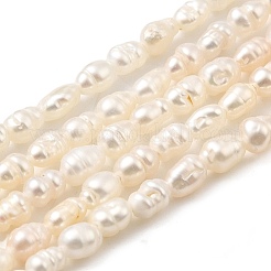 天然養殖淡水パールビーズ連売り  ライス  グレード2 A  古いレース  2~3mm  穴：0.6mm  約86~87個/連  13.58''~13.78''（34.5~35センチメートル）&nbsp;PEAR-I007-01K-01A