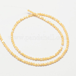 天然海シェルラウンドビーズ連売り  2mm  穴：0.5mm  約181個/連  15.7インチ&nbsp;SSHEL-M013-2mm-02