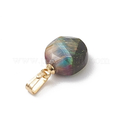 Natural Tiger Eye Faceted Hexagonal Cut Flat Round Charms&nbsp;PALLOY-JF04846