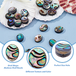 20Pcs Abalone Shell/Paua Shell Beads&nbsp;SSHEL-FI0001-03