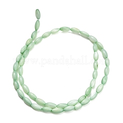 Natural Freshwater Shell Beads Strands&nbsp;SHEL-C010-01