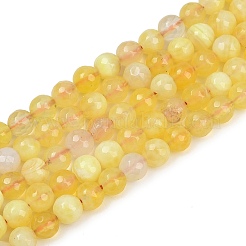Natural Fire Crackle Agate Bead Strands&nbsp;G-K166-07F-6mm-07