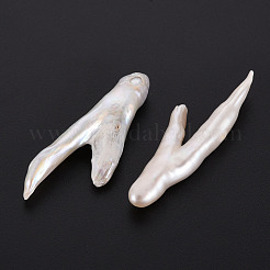 ナチュラルケシパールビーズ  養殖淡水パール  穴なし/ドリルなし  鶏の足  貝殻色  32~50x9~25x4~8mm&nbsp;PEAR-N020-P01