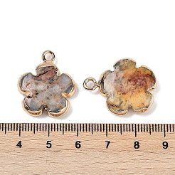 天然石クレイジーアゲートペンダント  真鍮製の金具が付いた花のチャーム  ゴールドカラー  23~24x21x6mm  穴：1.8mm&nbsp;G-P566-01G-05