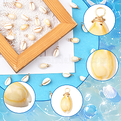 60Pcs Natural Cowrie Shell Dyed Pendants&nbsp;FIND-SC0020-75