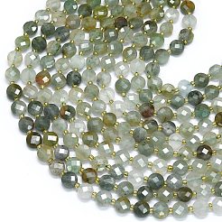 Natural Gemstone Beads Strands&nbsp;G-K389-B53-01