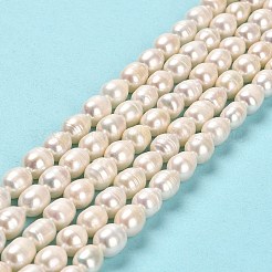 天然養殖淡水パールビーズ連売り  ライス  グレードA  ライム  8~9x6~7mm  穴：0.7mm  約41~42個/連  13.98~14.17''（35.5~36センチメートル）&nbsp;PEAR-E016-191