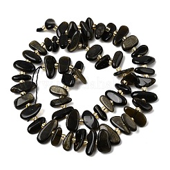 Natural Golden Sheen Obsidian Beads Strands&nbsp;G-L649-A04-01
