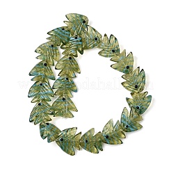 手作りランプワークビーズ  魚  ダークオリーブグリーン  22.5~23x20~21.5x7.5~8.5mm  穴：1.6mm&nbsp;LAMP-H073-01A