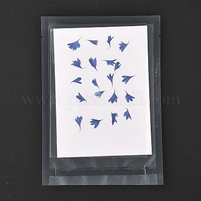 Cornflower Embossing Dry Flower&nbsp;DIY-K032-62B-1