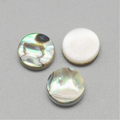 パウアシェルカボション  フラットラウンド  カラフル  10x3mm&nbsp;SSHEL-R042-21-1