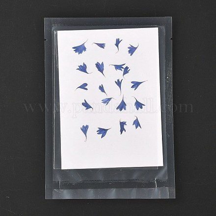 Cornflower Embossing Dry Flower DIY-K032-62B-1