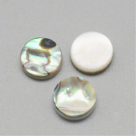 パウアシェルカボション  フラットラウンド  カラフル  10x3mm&nbsp;SSHEL-R042-21-1